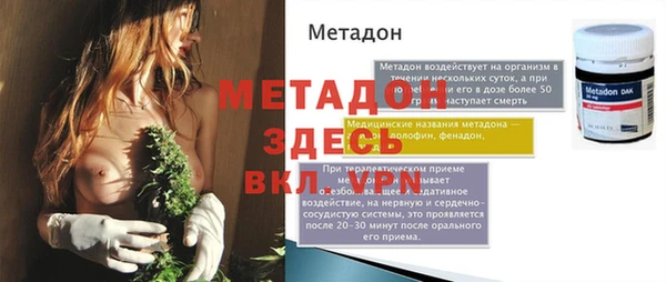 прущие грибы Магадан
