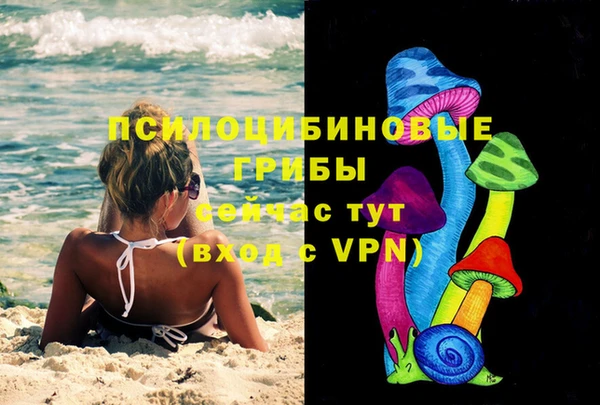 твердый Магас