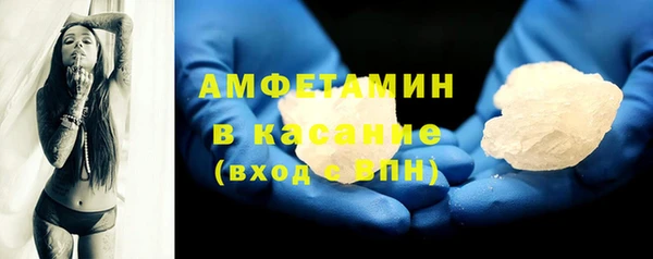 прущие грибы Магадан