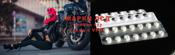 твердый Магас