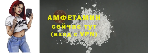 твердый Магас