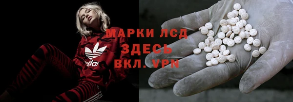 твердый Магас
